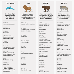 A sleep doctor says 4 types of animals represent how people sleep — and these are the ideal daily routines for each